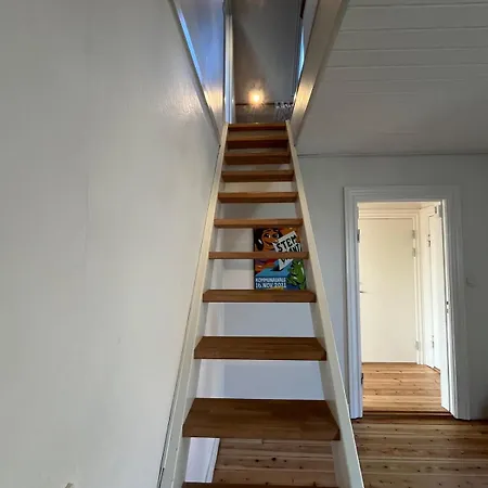 Entire In Lovely Apartment *
